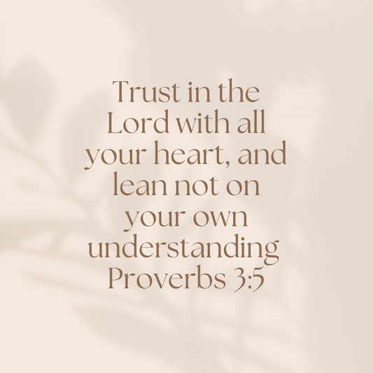 Proverbs 3:5 image